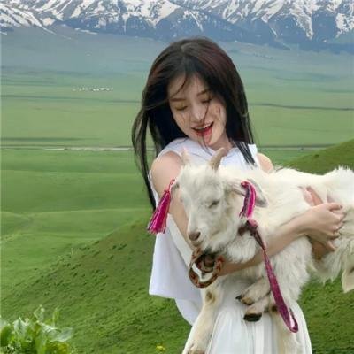 暴龙真相